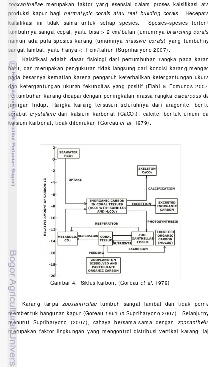 Gambar 4.  Siklus karbon. (Goreau et al. 1979)  
