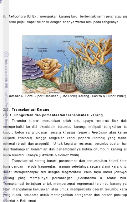 Gambar 6. Bentuk pertumbuhan (Life Form) karang (Castro & Huber 2007) 