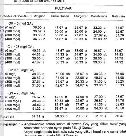 Tabel 9. lnteraksi perlakuan kuttivar, GA3 dan paclobutrazol terhadap panjang akar 