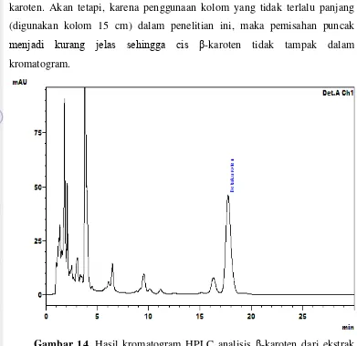 Gambar 14. Hasil kromatogram HPLC analisis β-karoten dari ekstrak 