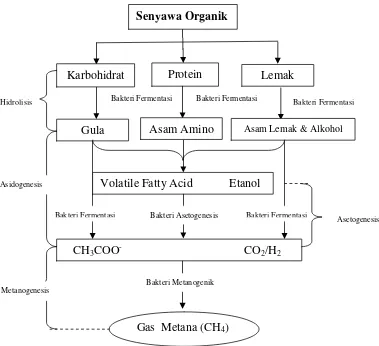 Gambar 3. Proses pembentukan gas metana (CH4) (Jiang, 2006)