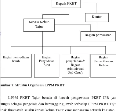 Gambar 7. Struktur Organisasi LPPM PKBT 