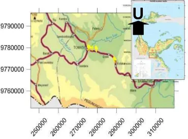 Gambar 2.  Daerah penelitian geolistrik daerah Wajo-Morowali, Sulawesi Tengah (Bakosurtanal, 2002)