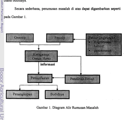 Gambar 1. Diagram Alir Rumusan Masalah 