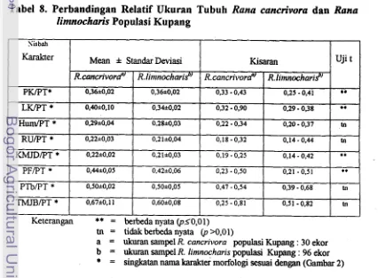 Tabel 8. Perbandingan Relatif Ukuran Tubuh Rana cancrivora dan Rana 