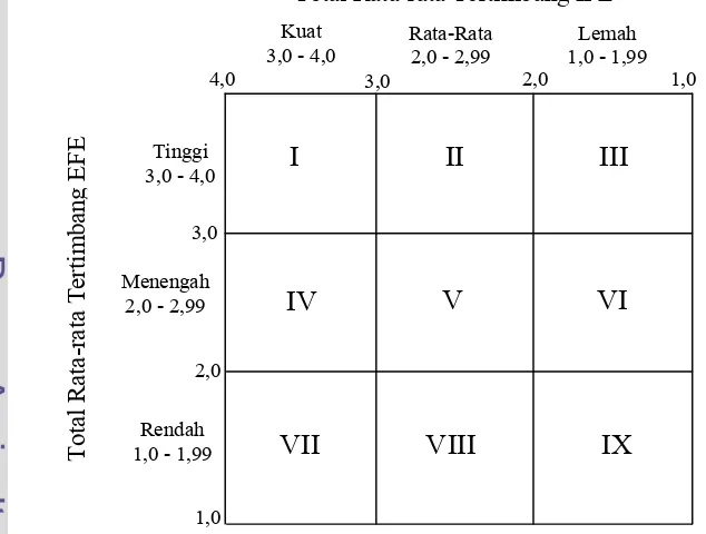 Tabel 11. Matrix EFE