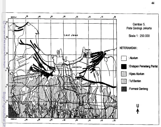 Gambar 5. Peta Geologi Jakarta 