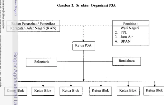 Gambar 2. Struktur Organisasi P3A 