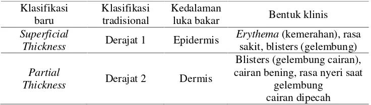 Tabel 1 klasifikasi luka bakar