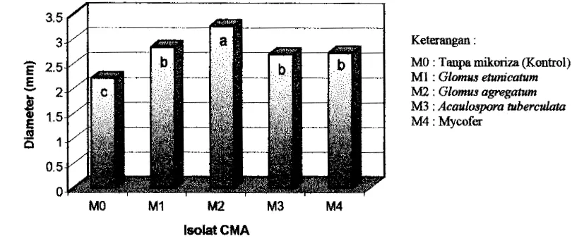 Gambar 3 Histogram Pengaruh Jenis Klon terhadap Diameter Batang Tanaman pada Umur 12 Minggu setelah dipindah ke Persemaian