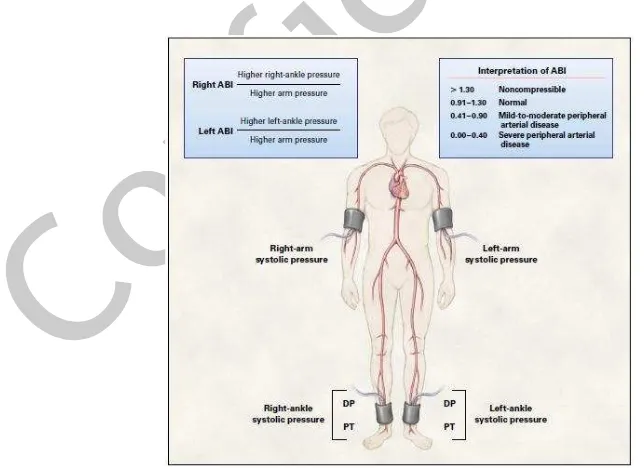 Figure 2. Measurement of the Ankle-Brachial Index (ABI) 