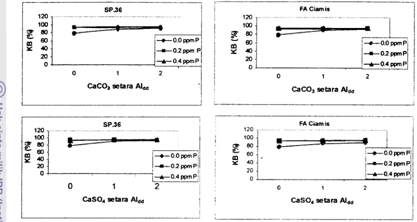 Gambar 5. Hubungan Kejenuhan Basa dengan Perlakuan CaCO3 atau CaS04 pada Tanah yang Dipupuk SP36 atau Fosfat Alam Ciamis 