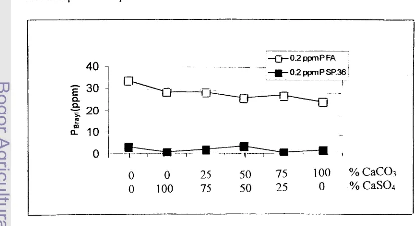 Tabel 19. Pengaruh Perlakuan (CaS04 + CaC03) dengan Pupuk SP36 atau 