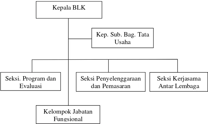 Gambar 2. Struktur Organisasi Balai Latihan Kerja Sleman (Sumber data : Data primer Balai Latihan Kerja Sleman Yogyakarta 2012) 
