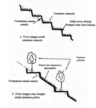 Gambar 1 .  Sketsa teras bangku atau teras tangga (bench terrace) (Arsyad, 1989) 