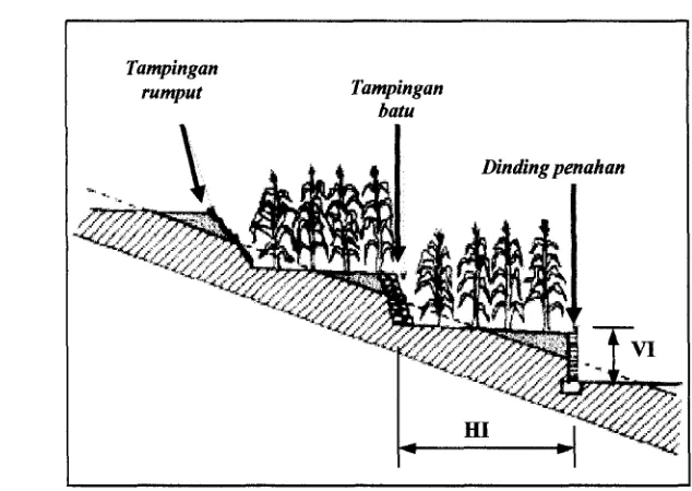 Gambar 2. bentuk penguat talud teras bangku (Matthee dan Russell, 1997) 