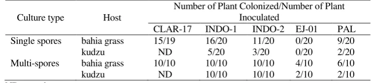 Table-1. Number of successful cultures for single and multispore attempts using AMF in test tube cultures using kudzu or bahia grass  as a host 