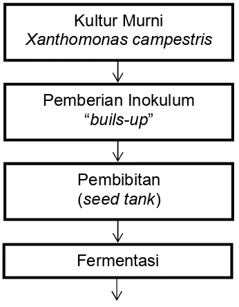 Gambar 5.Diagram alir proses pembuatan gum xanthan (Glicksman,1980 didalam Yudoamijoyo dkk, 1992)