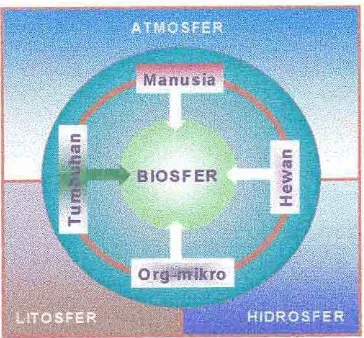Gambar 2.1. lnteraksi biosfergeosfer rantai energi &lam ekosistem alami 