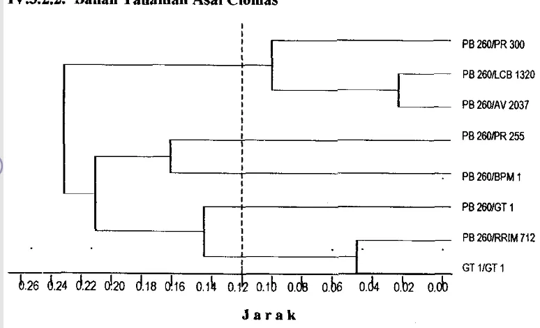 Tabel 4. Rataan di dalam setiap gerombol untuk semua parameter kuantitatif dari 