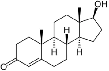 Gambar 2.5 Struktur testosteron (Sherwood, 2007) 