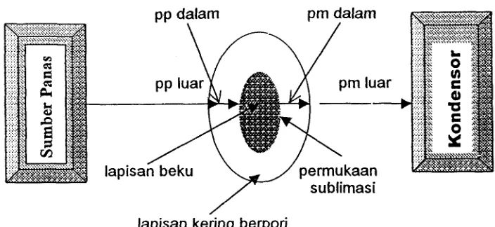Gambar 3. Perpindahan panas (pp) dan massa (pm) selama proses 