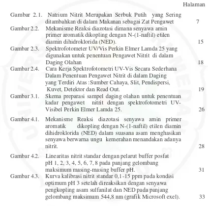 Gambar 2.1.Natrium Nitrit Merupakan Serbuk Putih