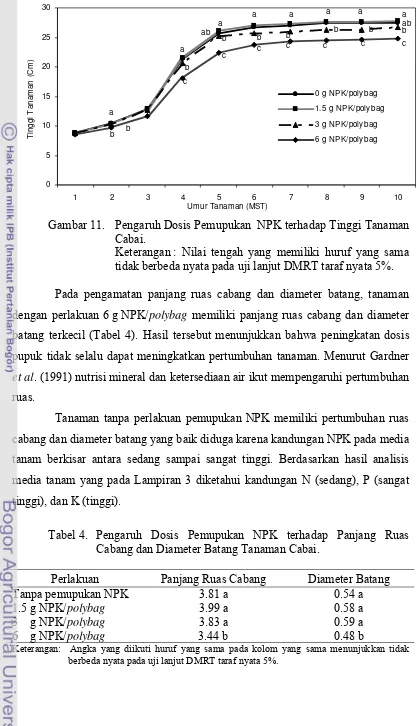 Tabel 4.  Pengaruh Dosis Pemupukan NPK terhadap Panjang Ruas 