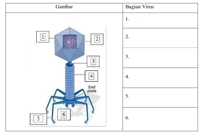 Gambar Bagian Virus 