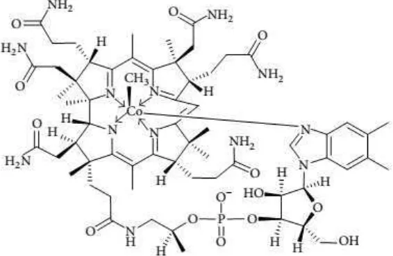 Gambar 2.3a Struktur Kimia Metilkobalamin (Zhang dkk., 2013) 
