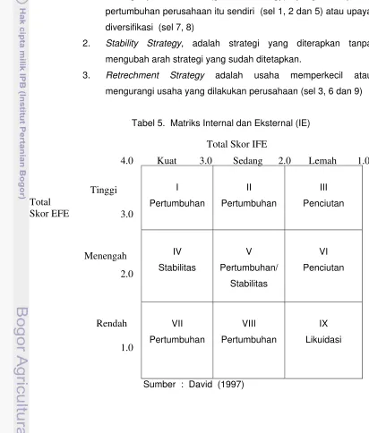 Tabel 5.  Matriks Internal dan Eksternal (IE) 