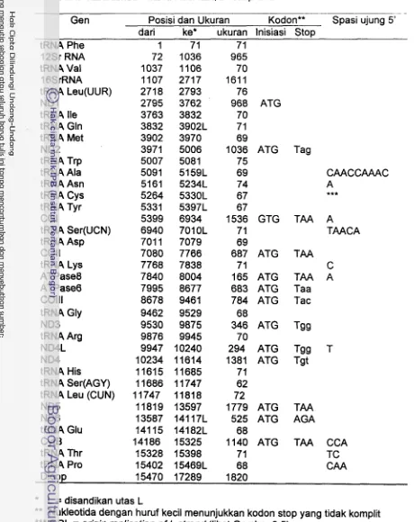 Tabel 3.1. Karakteristik mtDNA labi-labi, D. subplana 