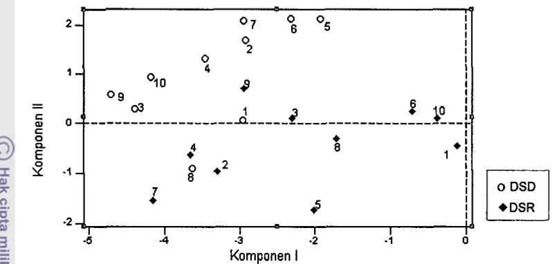 Gambar 5. Diagram pencar dua dimensi populasi kelapa DSD dan DSR. 