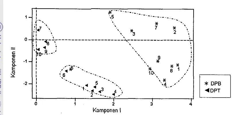 Gambar 7. Diagram pencar dua dimensi populasi kelapa DPB dan DPT. 