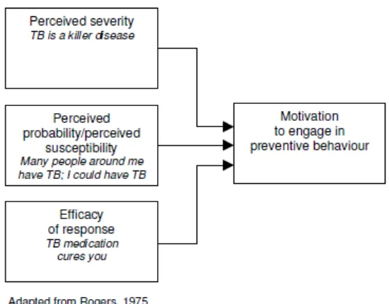 Gambar 3.  Protection Motivation Behaviour (Sirur et al., 2009) 