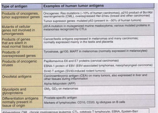 Tabel 2.1   Antigen tumor yang dikenal oleh limfosit T (Abbas, Lichtman and 