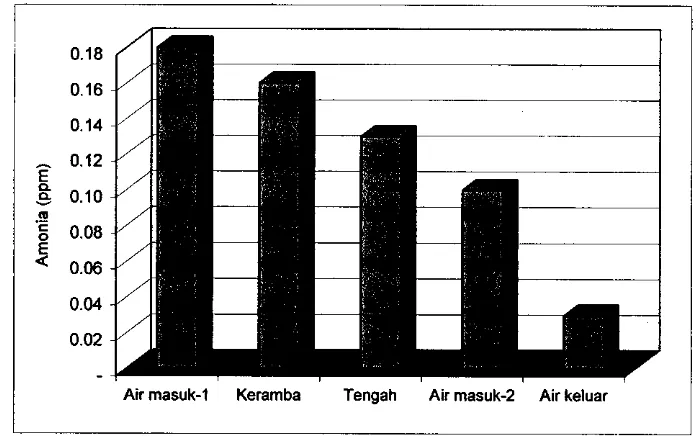 Gambar 8. Konsentrasi amonia perairan Situ Babakan 