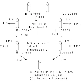 Gambar 8 . Diagram Alir Proses Pembuatan Starter Es Krim