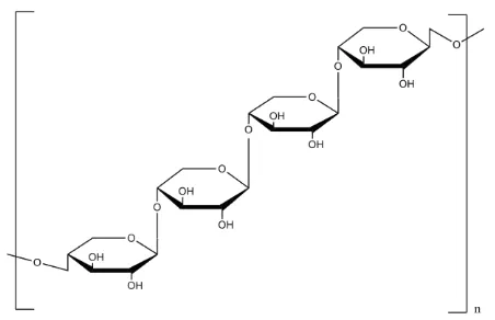Gambar 3. Struktur Hemiselulosa (Carpita, 2000) 