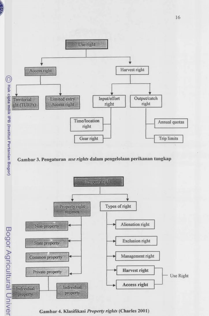 Gambar  4.  Klasifikasi  Pmperfy  rigkfs  (Charles  2001) 