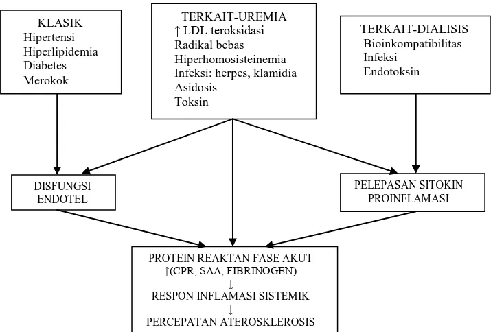 Gambar 2.3. Faktor risiko aterosklerosis pada uremia (Santoro and Mancini,         