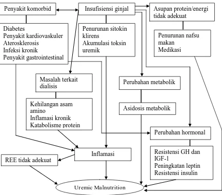 Gambar 2.7. Faktor etiologi malnutrisi pada PGK. (S.Chung et al., 2012). 