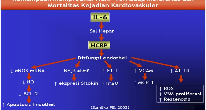 Gambar 2.10.  Struktur HsCRP (Black, 2004)  
