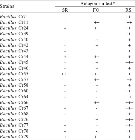 Table 1. The characteristics of 22 Bacillus sp. strains used in thisstudy which able to inhibit the growth of pathogenicfungi based on Wahyudi and Rachmania (2008, unpublisheddata)