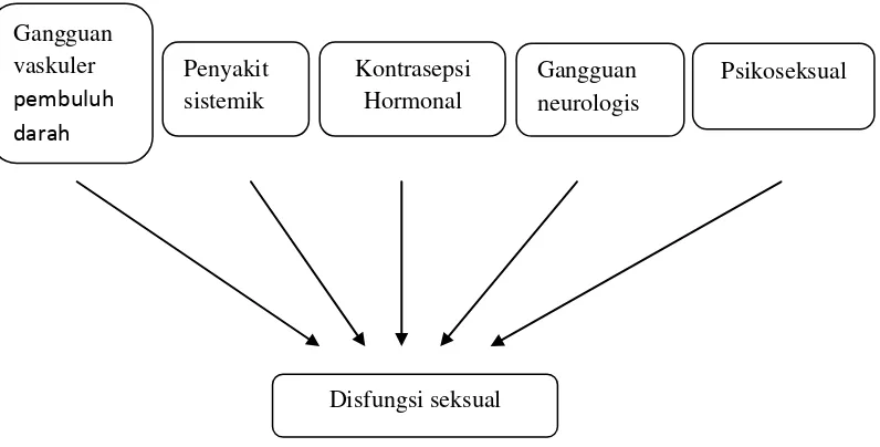 Gambar 4. Kerangka teori hubungan alat kontrasepsi dengan disfungsi seksual 