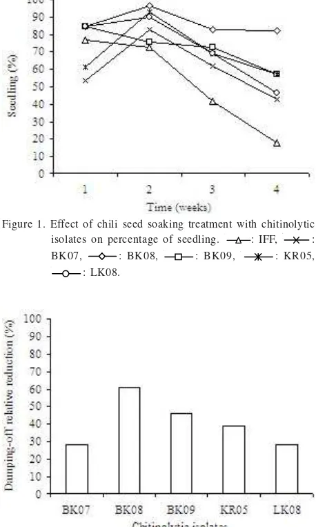 Figure 2. Relative reduction of seedling damping off chili of seedsoaking treatment with chitinolytic isolates.