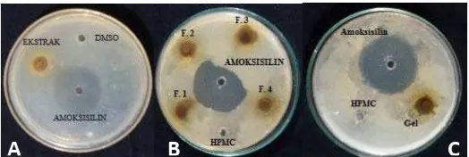 Gambar 6. Uji aktivitas antibakteri ekstrak kulit buah manggis 12% (A), Uji aktivitas 4 formula gel antibakteri ekstrak kulit buah manggis (B), dan uji aktivitas antibakteri gel optimum ekstrak kulit buah manggis (C)