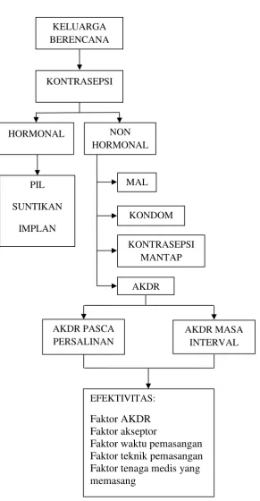 Gambar 8. Kerangka Teori 