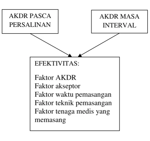 Gambar 9. Kerangka Konsep 
