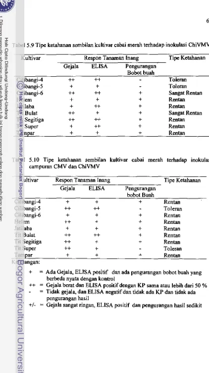 Tabel 5.9 Tipe ketahanan sembilan kultivar cabai merah terhadap inokulasi ChiVMV 
